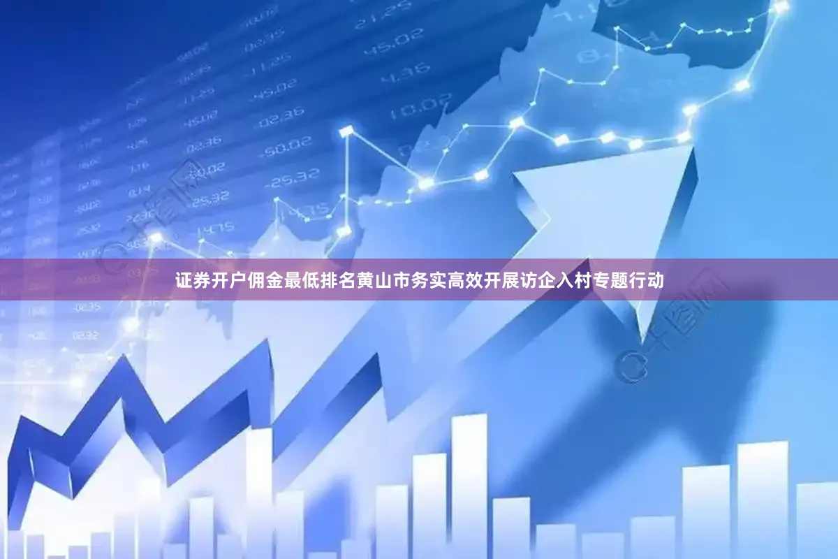 证券开户佣金最低排名黄山市务实高效开展访企入村专题行动