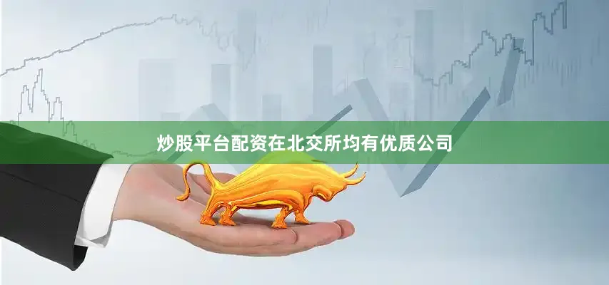 炒股平台配资在北交所均有优质公司