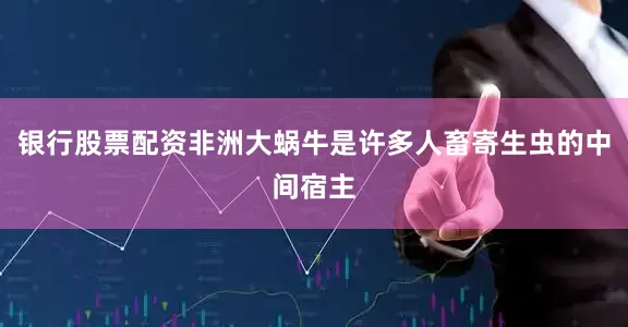 银行股票配资非洲大蜗牛是许多人畜寄生虫的中间宿主